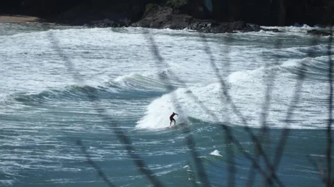 Surfing Stock Footage 204978662