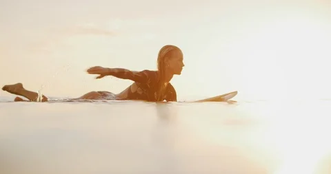 Surfing in the golden light Stock Footage 115687930