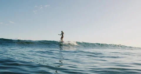Surfing gracefully at sunset Stock Footage 109526197