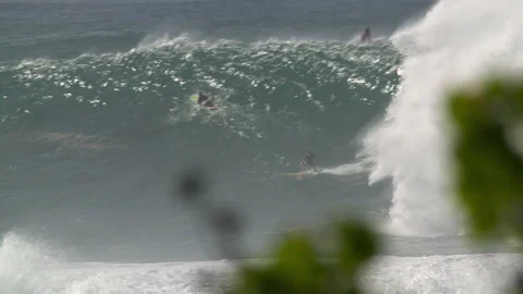 Surfing in Hawaii Vidéo 146815494