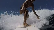 Surfing In Hawaii Shot On Gopro Stock Footage