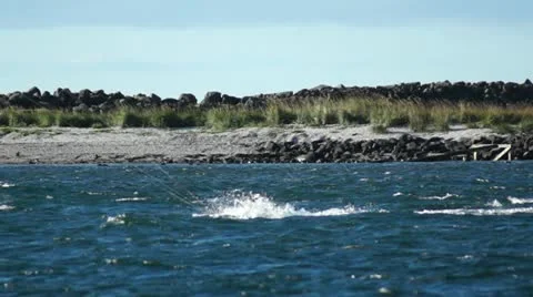 Surfing in Iceland Stock Footage 12190345