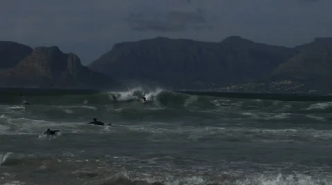 Surfing Kommetjie Vídeo Stock 34299101