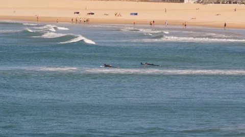 Surfing longboard Stock Footage 108811220