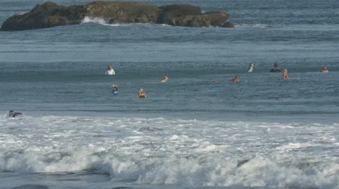 Surfing in Nicaragua Stock Footage 60648622