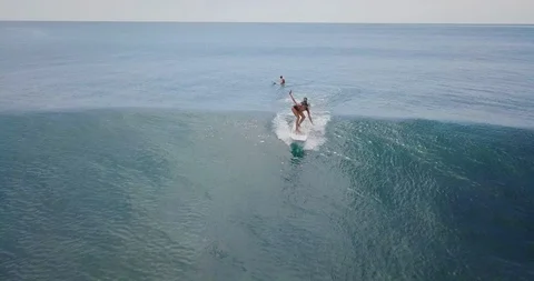 Surfing in the ocean. Video stock 91839100