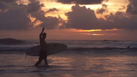 Surfing Ocean Sunset Stock Footage 73714364