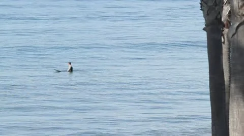 Surfing Oceanside, CA #3 Vídeos de archivo 12622934
