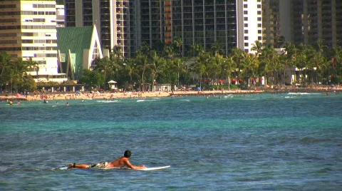 Surfing in paradise Stock Footage 624229
