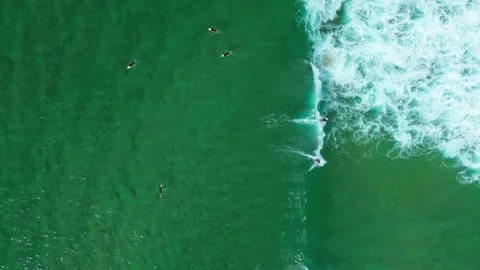 Surfing A Party Wave Stock Footage 311416000