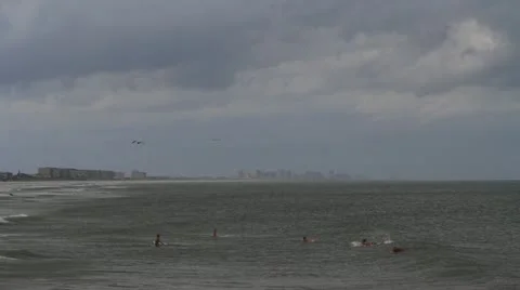 Surfing with Pelicans Stock-Footage 11509766