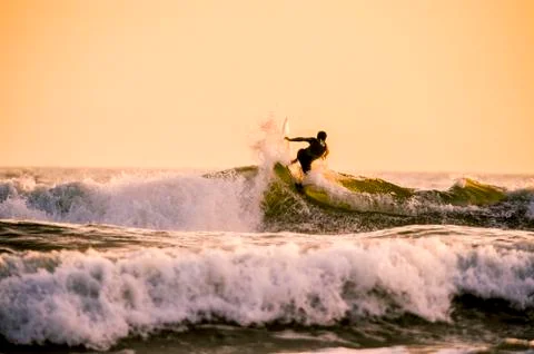 Surfing Stock Photos