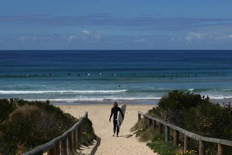 Surfing 스톡 사진