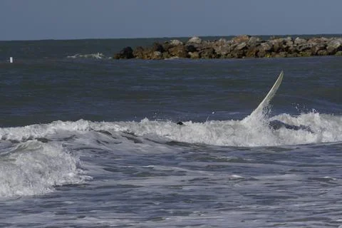 Surfing Stock Photos