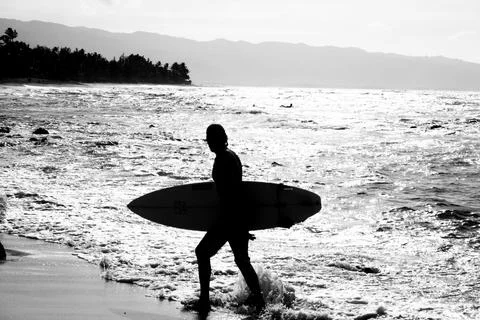 Surfing Stock Photos