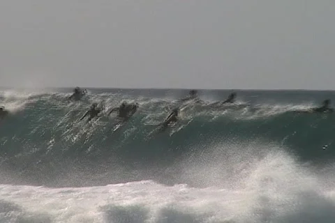 Surfing Pipeline Stock Footage 311786