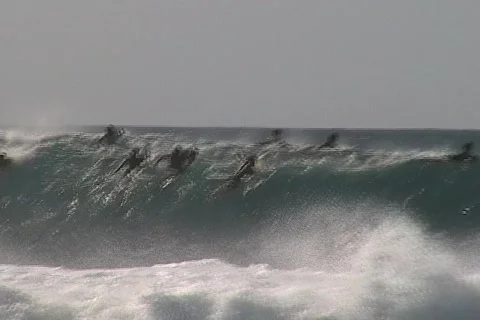 Surfing Pipeline  Stock Footage 317504