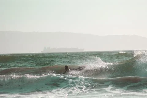 Surfing Reñaca Foto stock