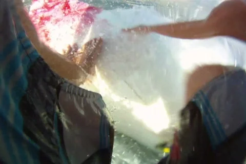 Surfing Roundhouse Stock Footage 840092