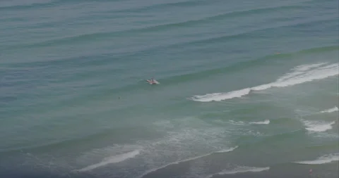 Surfing in the sea Stock Footage 316072945