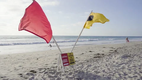 Surfing Sign at the Beach - Flags and Rules Stock Footage 167867512