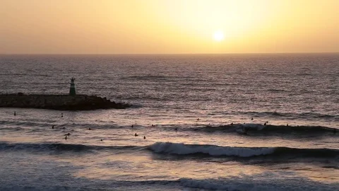 Surfing at sunset Video stock 81010318