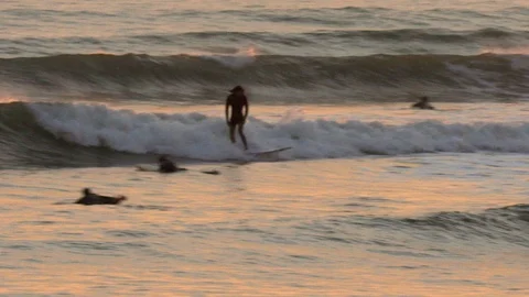 Surfing at sunset Видео 101259085