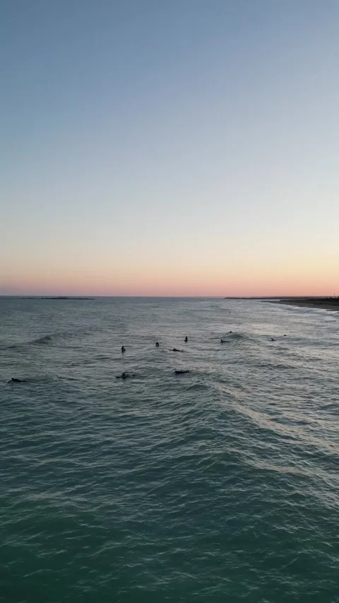 Surfing at Sunset Stock Footage 221424238