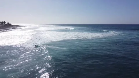 Surfingfun2 00001190 Stock Footage 228699172