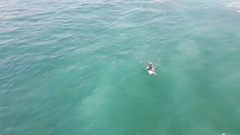 Surfingfun2 00005390 Stock Footage 229147014