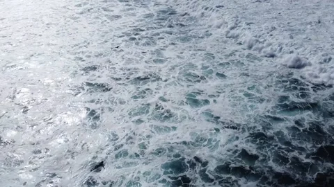 Surfingfun2 00006185 Stock Footage 229146563