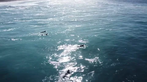 Surfingfun3 00002160 Stock Footage 229147834