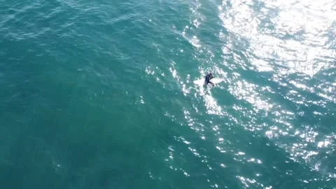Surfingfun4 00000455 Stock Footage 229147970