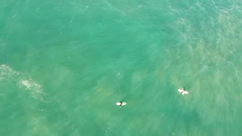 Surfingfun5 00000100 Stock Footage 229148229