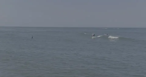 Surf's Up Video stock 168110021