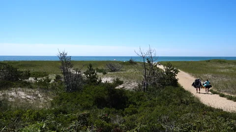 Surfside Beach, Nantucket Looking Down Stock Footage 53220162