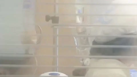 Surge In COVID Cases Has Utah Hospitals At The Breaking Point (2) Video stock 146366059