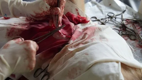 Surgeon Complete Stitches of Wound After Animal Sterilisation Видео 73949579