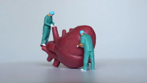 Surgeon Figurines Operate on a Heart Model in Clean Environment Stock Footage 285146733