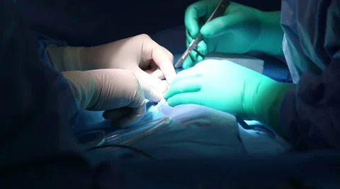 Surgeon operating with scalpel Stock Footage 40683586