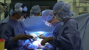 Surgeon in operation Stock Footage 85900492