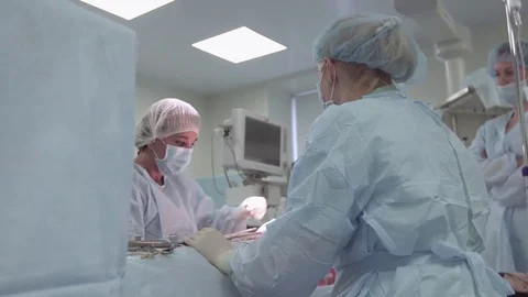 Surgeon, Professor, intently doing her job. Surgeon and surgical team are Stock Footage 81491006