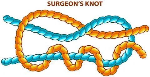 Surgeons knot isolated on white. Modification of straight knot where first loop Stock Illustration