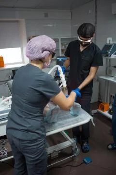 Surgeons surgeons doing leg surgery Stock Photos