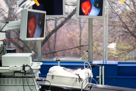 Surgery arthroscope, arthroscopy camera and probe in new and modern operating Stock Photos