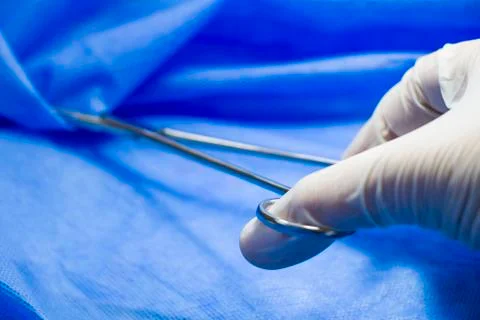 Surgery forceps in doctors hand, on the blue background, studio shoot. Operat Stock Photos