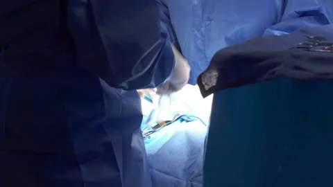 Surgery Under Light View From Back Stock Footage 171141075