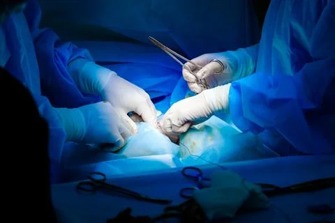 Surgical instruments in the hands of doctors during a surgical operation. Stock Photos