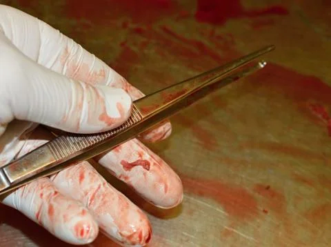 Surgical instruments Stock Photos