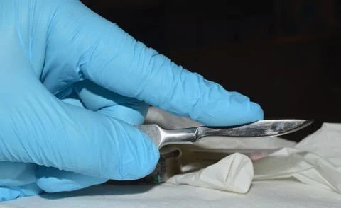 Surgical instruments Stock Photos